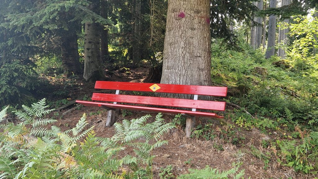 Bänkli im Trub